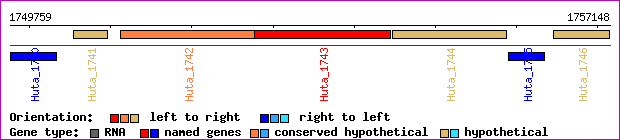 gene map