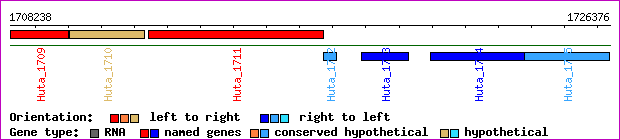 gene map