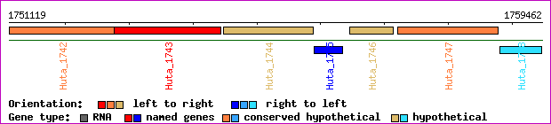 gene map