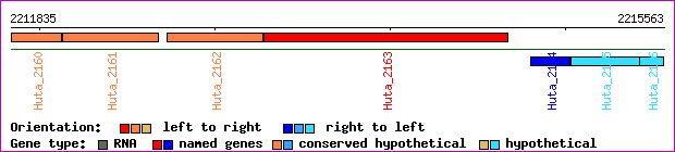 gene map