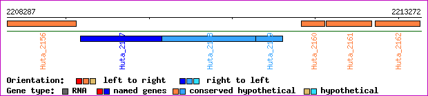gene map