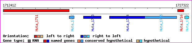 gene map
