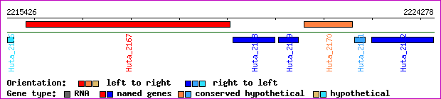 gene map