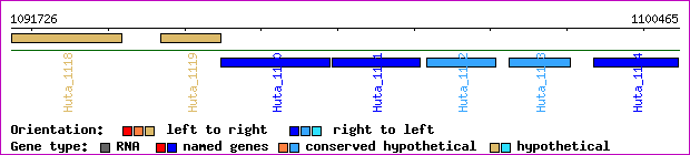 gene map