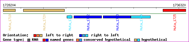 gene map