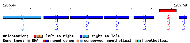 gene map