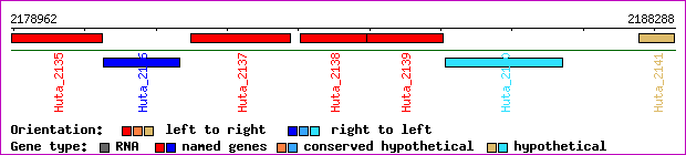 gene map