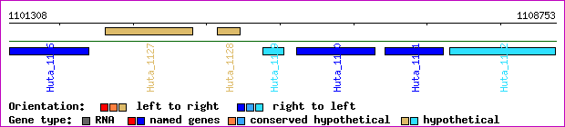 gene map