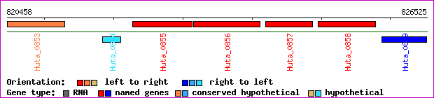 gene map