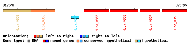 gene map