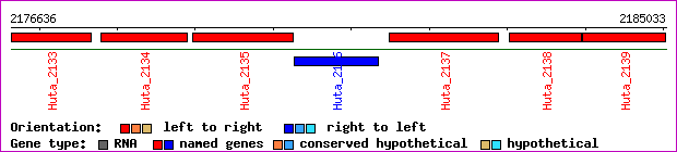gene map