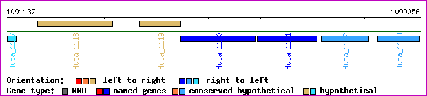 gene map