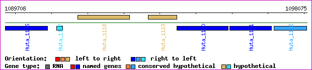 gene map