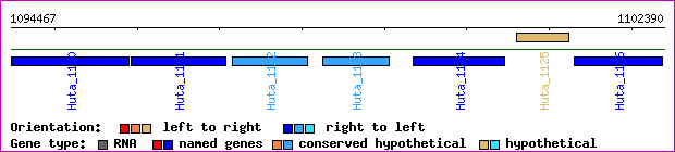 gene map