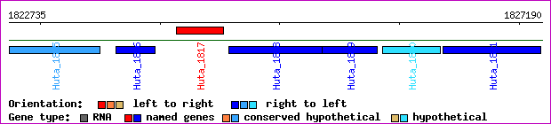 gene map