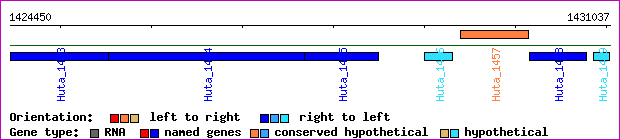 gene map