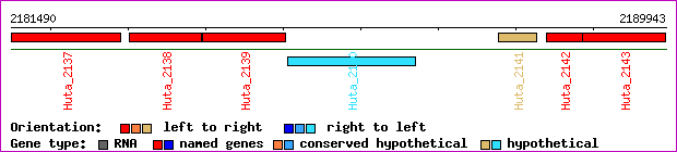 gene map