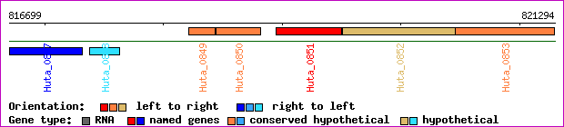 gene map
