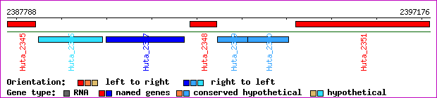 gene map