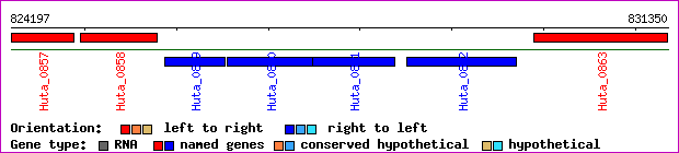gene map