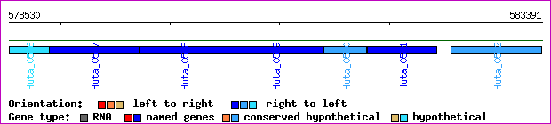 gene map