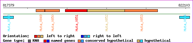 gene map