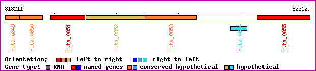 gene map