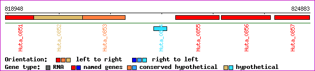 gene map