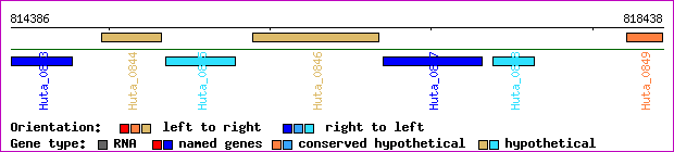 gene map