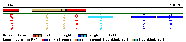 gene map