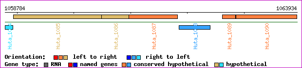 gene map
