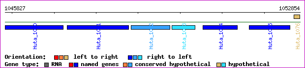 gene map