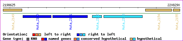 gene map