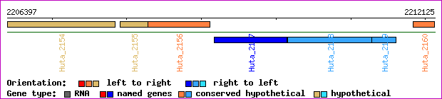gene map
