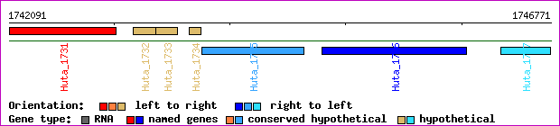 gene map