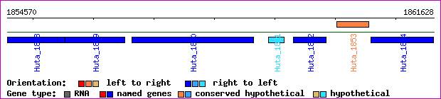 gene map