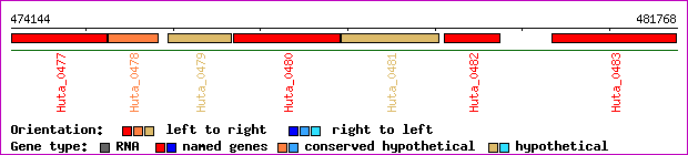 gene map