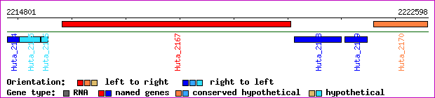 gene map