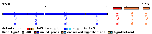 gene map