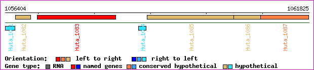 gene map
