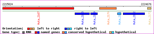 gene map