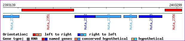gene map