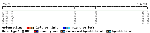 gene map