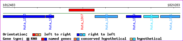 gene map