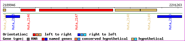 gene map