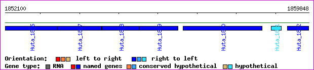 gene map