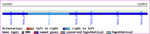 gene map