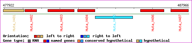 gene map