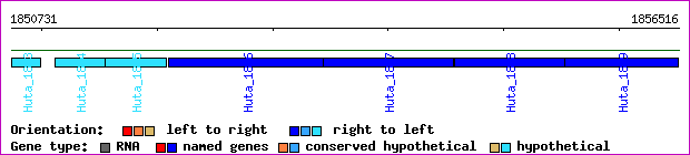 gene map