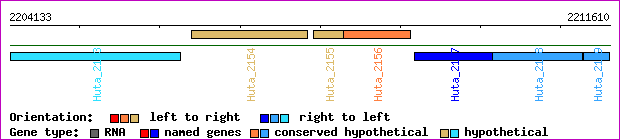 gene map
